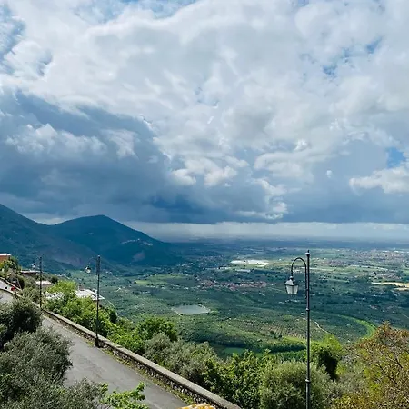 Sweet Sofia נורמה