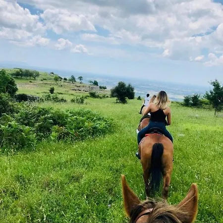 Sweet Sofia * נורמה