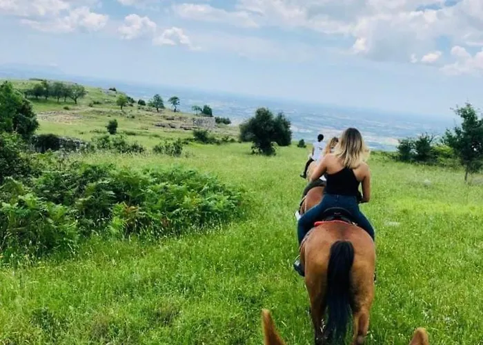 Sweet Sofia * Νόρμα